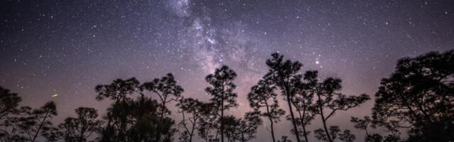 Get Outside Monday Night to See the Eta Aquarid Meteor Shower Peak