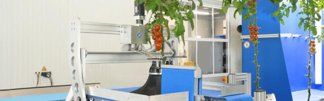 Robots stay still, plants move – SAIA Agrobotics raises €10 million for its inverted greenhouse automation model