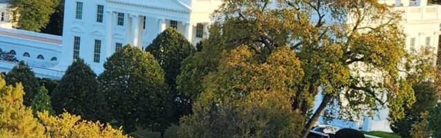 White House AI executive order said to be 100+ pages