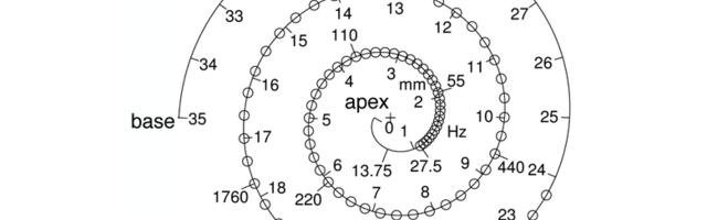[Перевод] Ухо не выполняет преобразование Фурье
