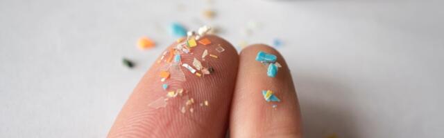 These 8 Common Foods Are Likely to Increase Your Exposure to Microplastic Particles