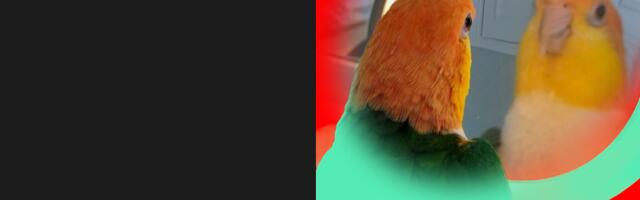 Инженер против попугая: пишем промпты для больших продакшен-сервисов