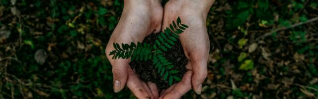 Meet two early-stage climate startups scaling breakthrough technologies