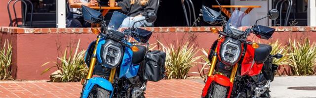 What Kind Of Gas Should You Use In A Mini Bike?