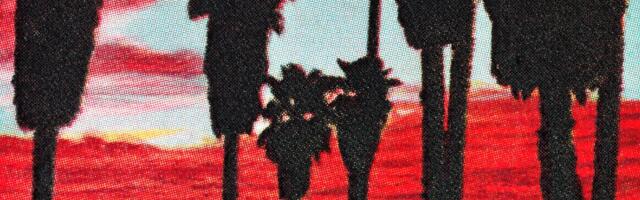 Why you grieve the end of summer before it’s even over