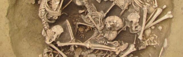 Neolithic people took gruesome trophies from invading tribes