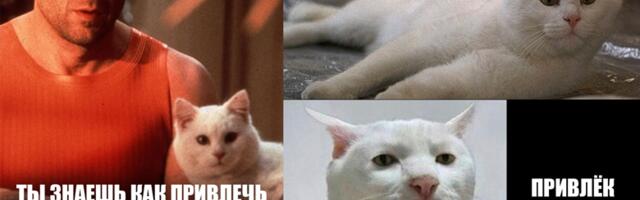 Как заставить Я.Директ приводить крупных Б2Б-клиентов –  маркетинговый подход вместо банальной рекламы