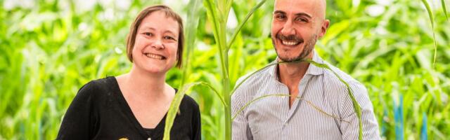 Ghent’s Rainbow Crops bags €9.7 million to advance AI-powered gene editing for improved crop varieties