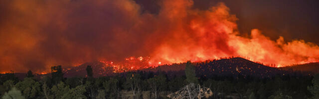 PG&E skirts criminal charges, reaches settlement in Zogg wildfire
