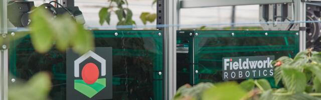 Raspberry-picking robot startup picks up £1.5m funding