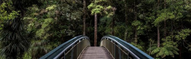 Shopify announces initial $5 million USD in investments through sustainability fund