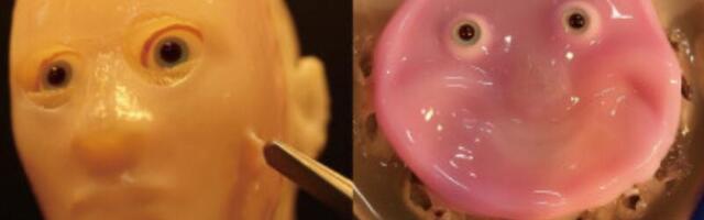 A robot made out of living human skin is just as terrifying as it sounds