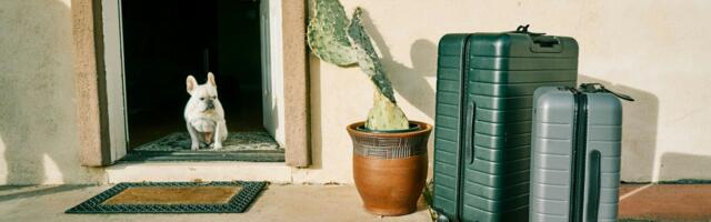 Cross-pawder: Can Europe scale international pet techs?