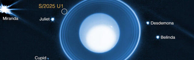Webb telescope spots a new moon orbiting Uranus