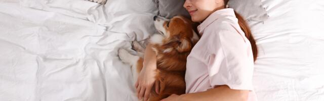 Psychology says people who sleep in the same bed as their dogs aren’t substituting the dog for human intimacy — they’re supplementing a human life with the one kind of companionship that asks for nothing, carries no grievances into the bedroom, and has never once in the history of the arrangement woken up on the wrong side