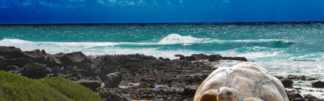 Travel Resolutions for 2023: Top Picks From the Skift Staff