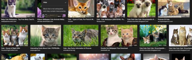 Sick of seeing AI images everywhere online? DuckDuckGo will let you filter out the slop from your search results