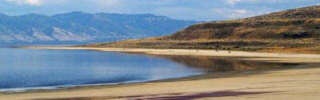 As the Great Salt Lake Shrinks, Something Unexpected Is Rising to the Surface