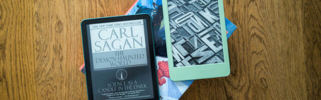 If you needed a nudge to buy a Kindle, Black Friday just shoved