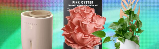 The 17 Best Gifts for Plant Lovers We’d Buy Ourselves (2025)