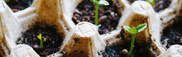 Why PASSHE should prioritize AGI, small business workforce growth research Lab