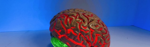 Too much information: why sustainable startups are killing their growth with numbers