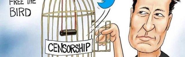 Twitter releases its algorithm to the world, making it the first platform to bring transparency to social media