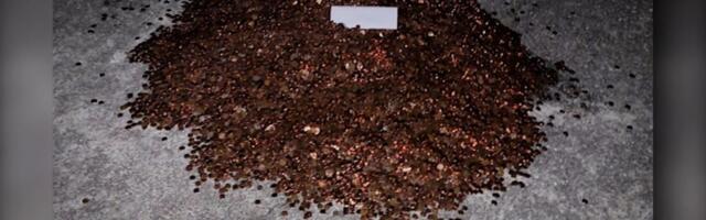 Boss who dumped 500 pounds of oily pennies on ex-employee’s driveway is ordered to pay additional back wages