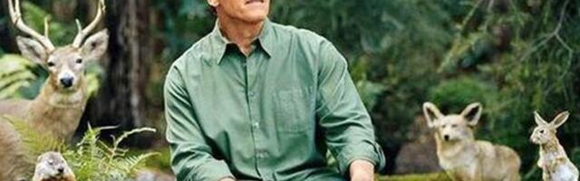 Как продавать лес в интернете? Без УТП увеличили заказы в 6 раз и вдвое снизили их стоимость