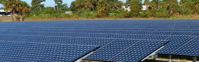 Scientists Generated Solar Power After Dark, Thanks to a Trick Using Wood