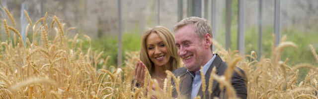 HBAN-backed CropBiome receives €1.3M investment