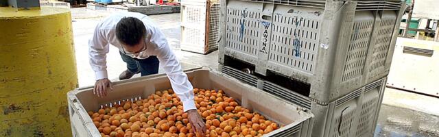 Two of Bay Area’s biggest food and beverage companies settle over improper handling of ammonium