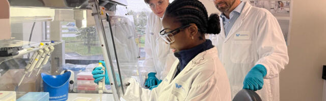 Morphocell rounds out Series A at $50 million USD to accelerate liver regeneration tech