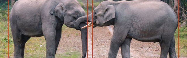 Here’s how deep learning helps computers detect objects