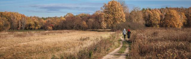 The hardest friendships to maintain aren’t the ones with conflict. They’re the ones where both people are growing but in different directions, and neither person is wrong, and there’s no argument to have, just a slow widening that nobody caused and nobody can fix.