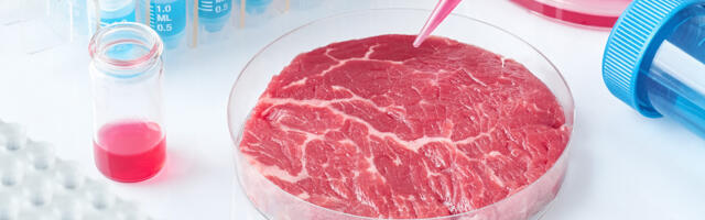Investors show appetite for UK lab-grown meat – but regulations need ‘overhaul’