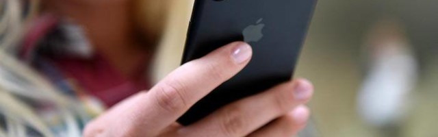 Is Apple developing its own search engine?