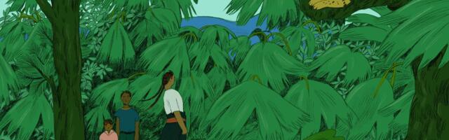 The state of the climate crisis