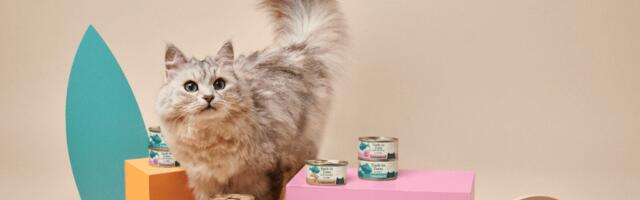 Untamed raises €11.6 million to revolutionise feline nutrition with “human-grade” quality