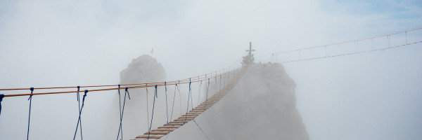 End-to-end operators are the next generation of consumer business