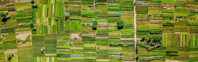 Parisian fintech startup finres raises €4.1 million to drive better agricultural investment decisions