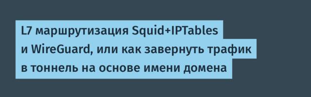 L7 маршрутизация Squid+IPTables и WireGuard, или как завернуть трафик в тоннель на основе имени домена