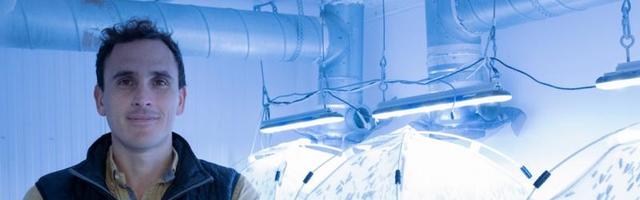 Entocycle’s insect farm is proof that flies can be bug business