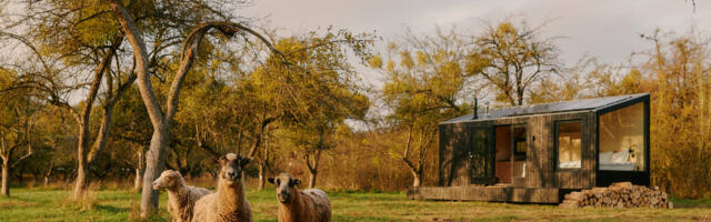 Raus Raises $3 Million for Nature-Themed Escapes: Travel Startup Funding This Week