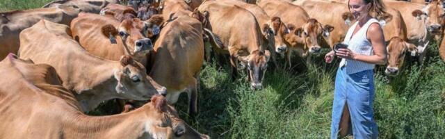Maverick operator of California raw milk dairy that sickened children could have role in Trump’s FDA