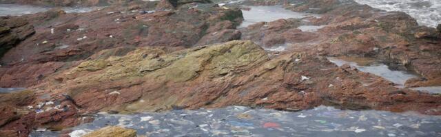 You Don’t Want to Know Where Scientists Just Found 27 Million Tons of Plastic