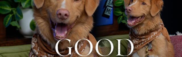 How To Make a Movie Starring Only a Good Boy video