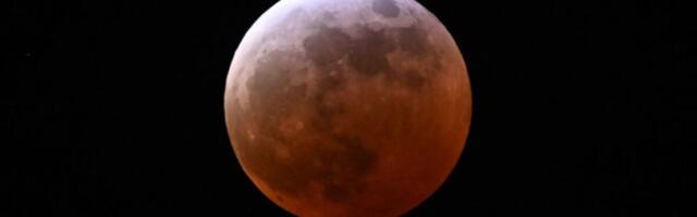 A predawn blood moon will sweep across North America. Dont miss it.