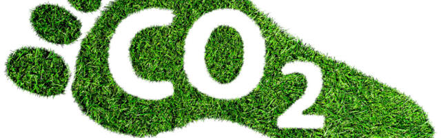 Crypto Companies Look To Tackle CO2 Emissions With Sustainable Investments