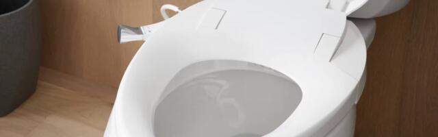 Cleaning a Bidet Is Easy. Here’s My Step-by-Step Guide to Maintaining a Sanitary Bidet.